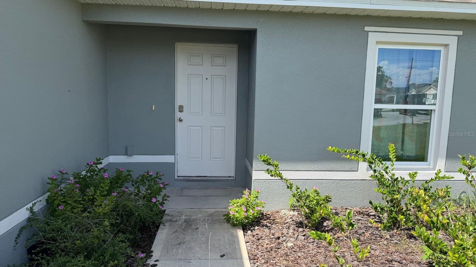 1623 REDFIN 2