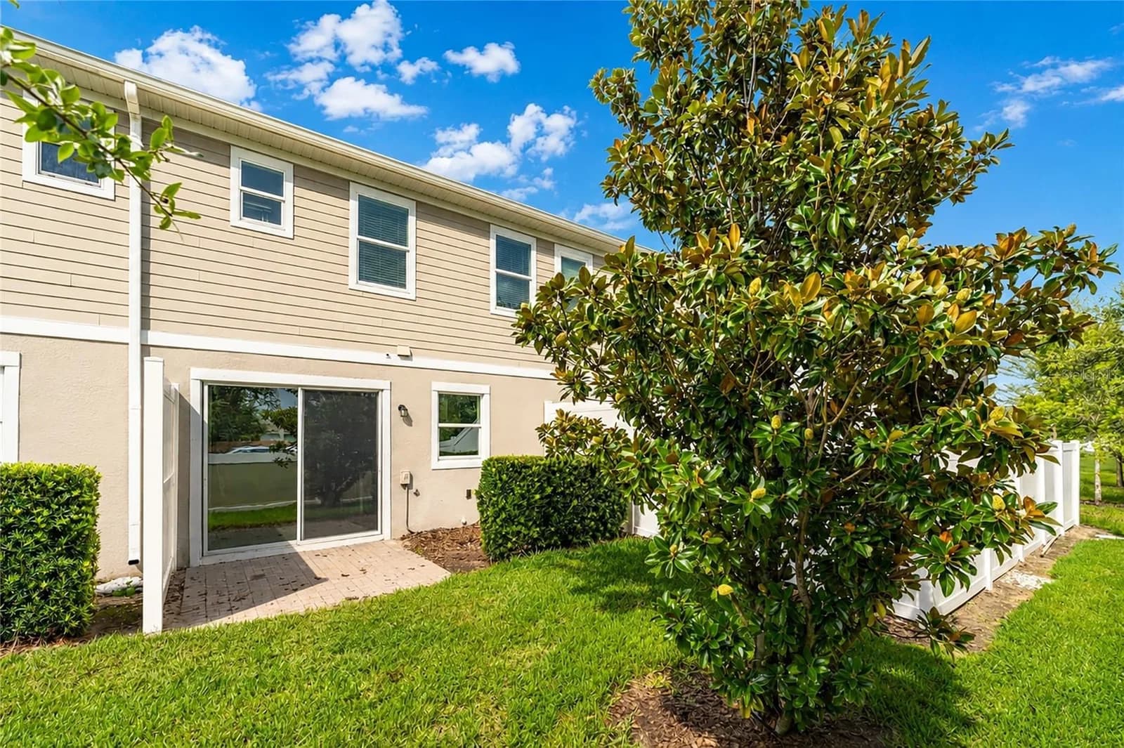2342 SEDGE GRASS 5