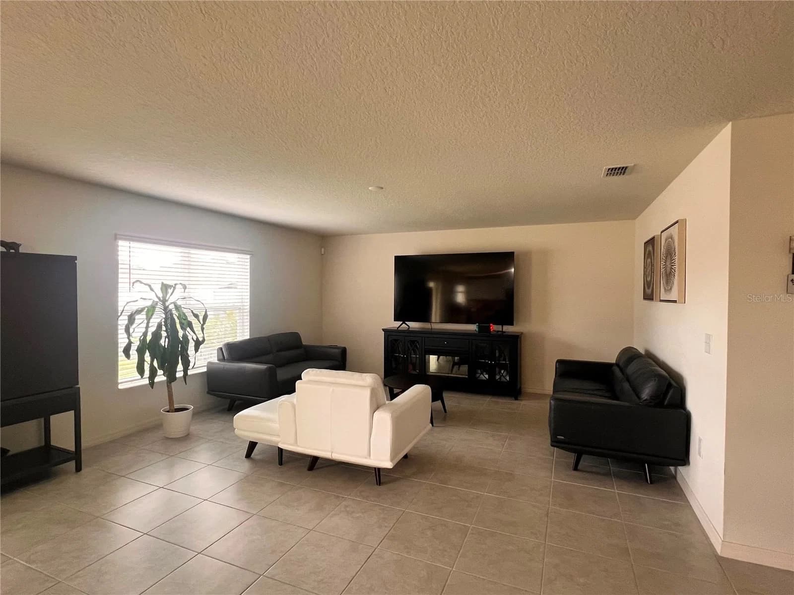 3209 EAGLE HAMMOCK 2