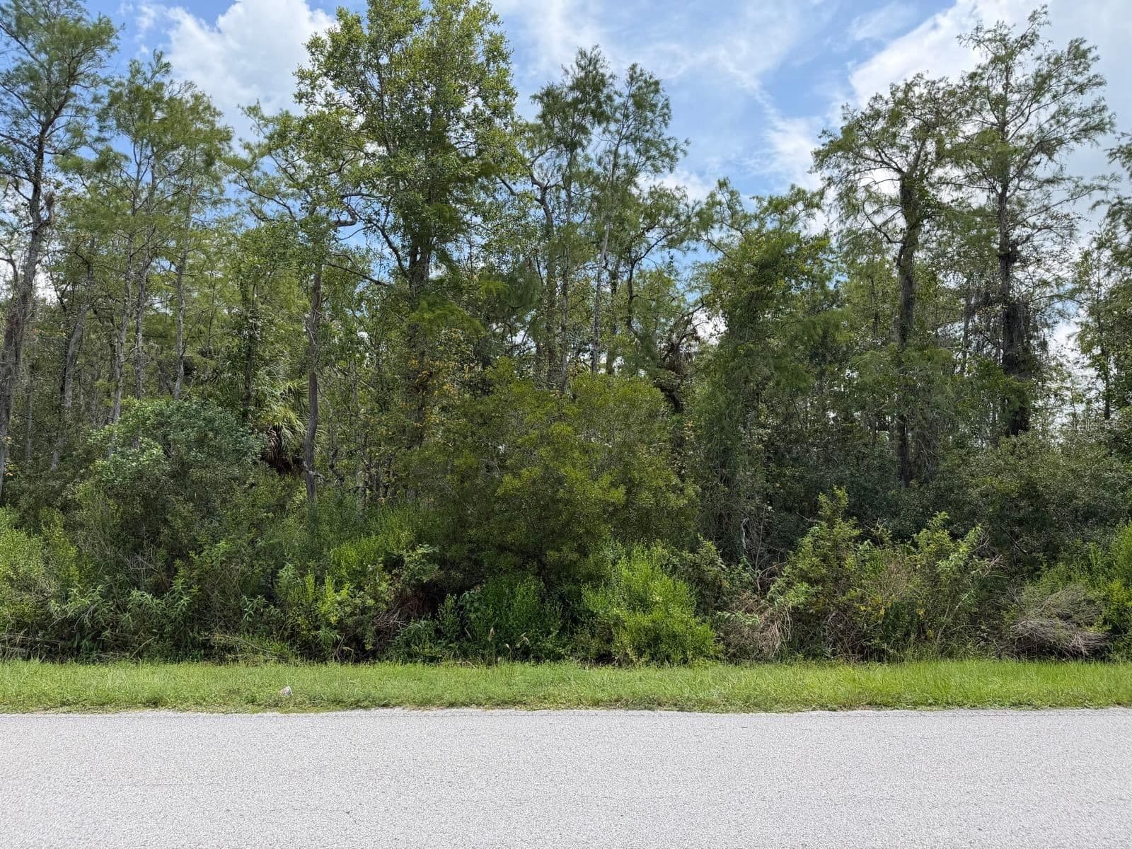 TUNBRIDGE Street, Orlando, FL 32833 2