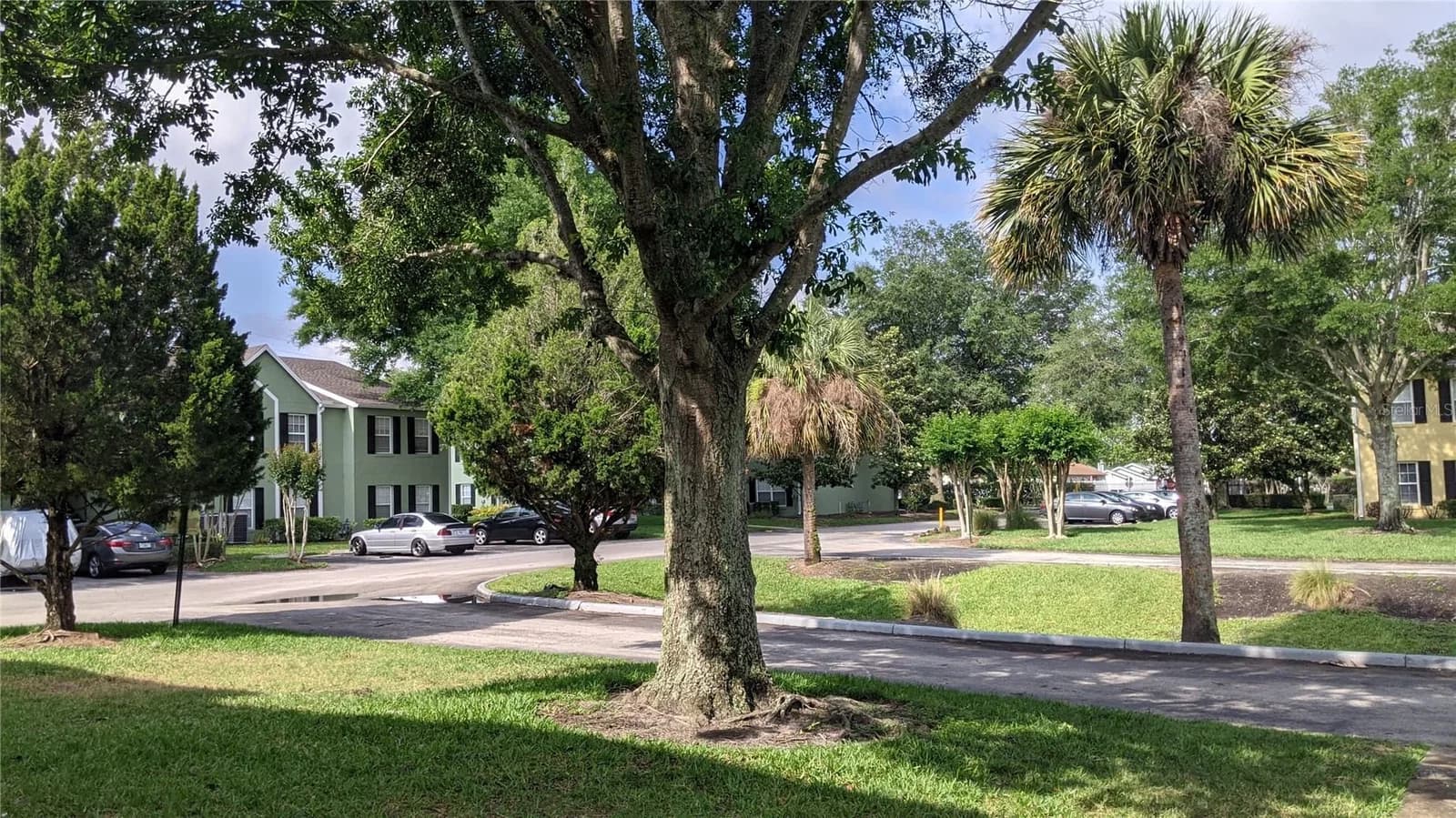 2019 DIXIE BELLE Drive #F 5