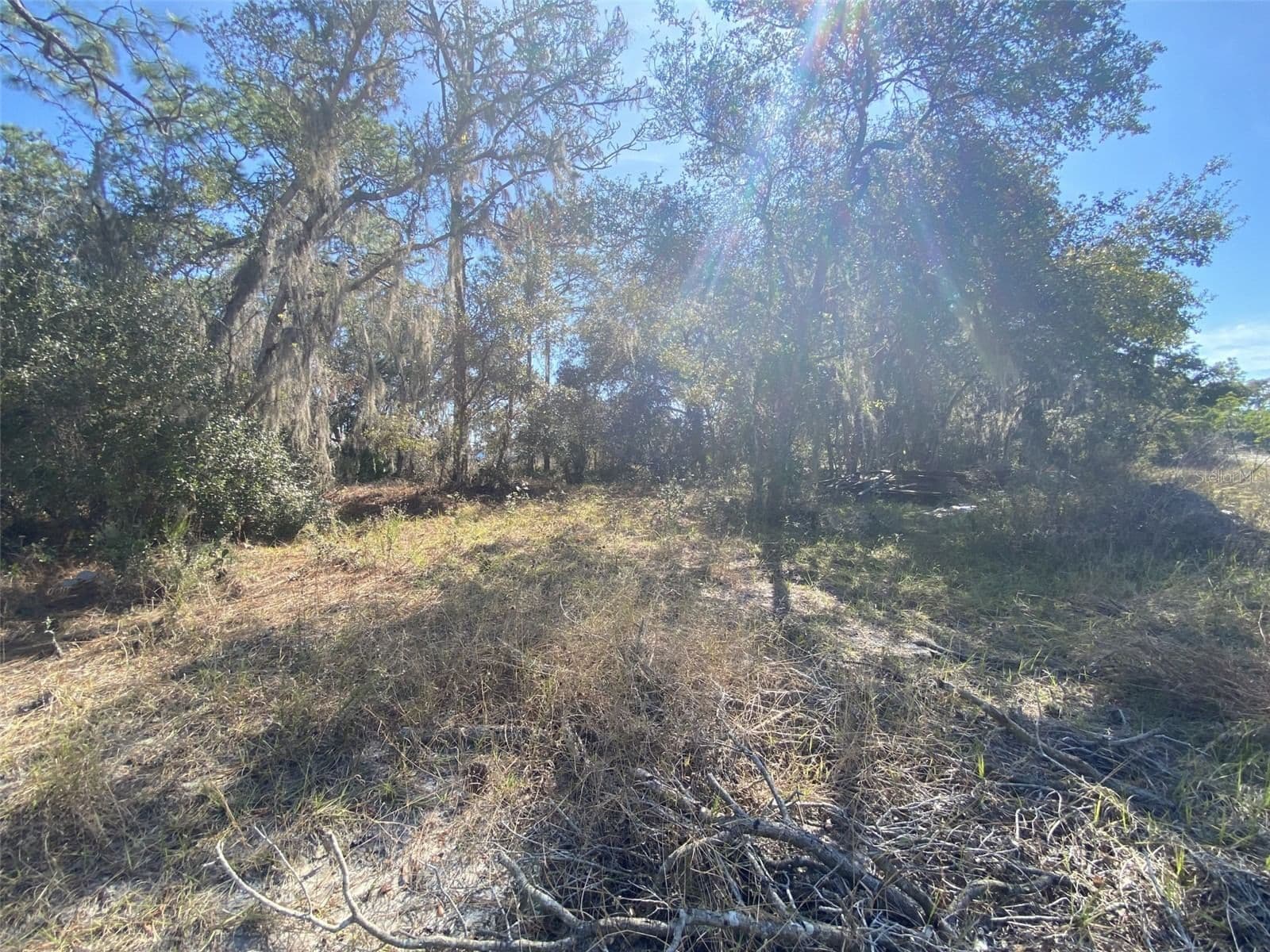 1203 VERNON Lane, Kissimmee, FL 34759