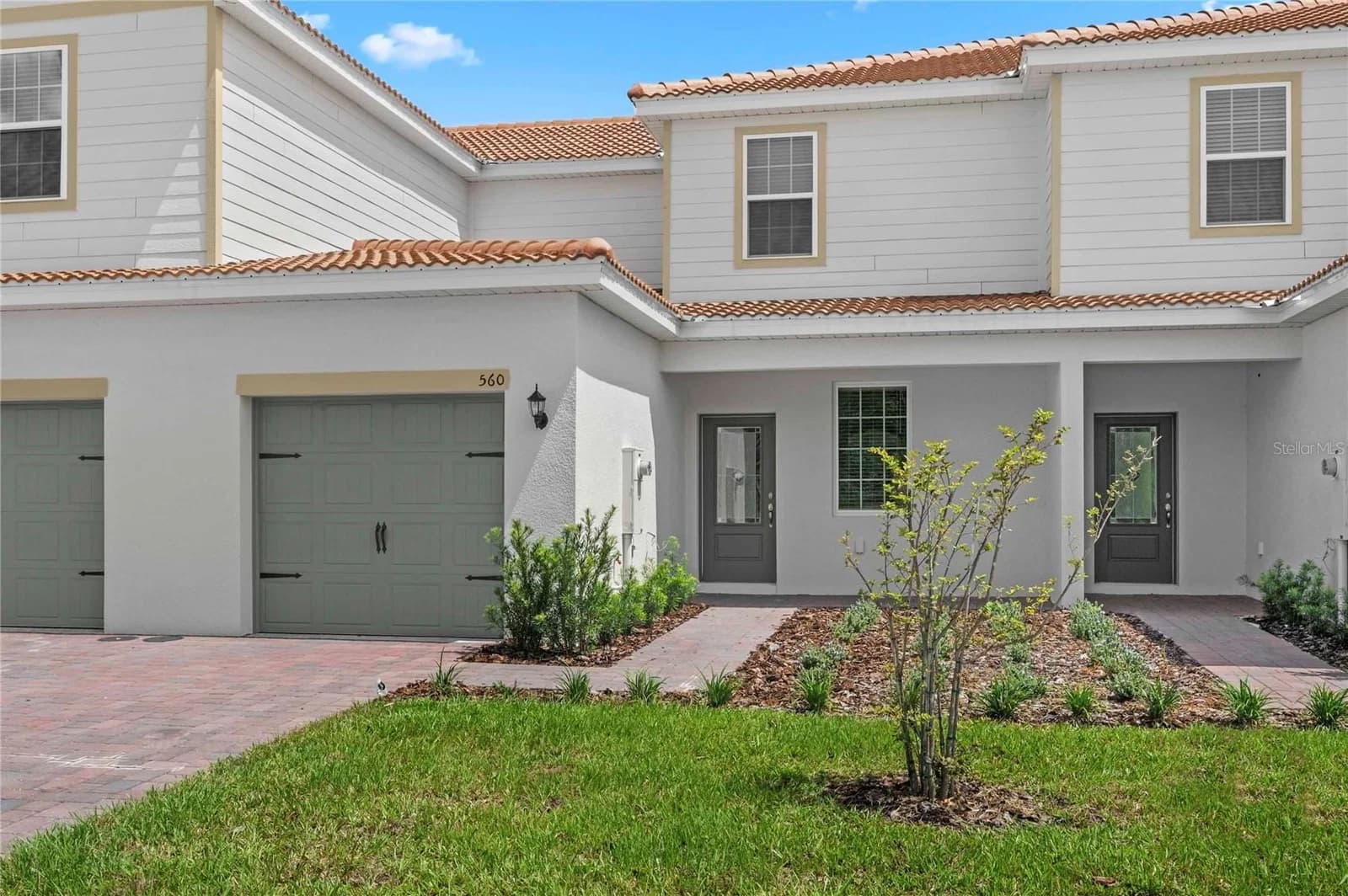 576 BAY LEAF 2