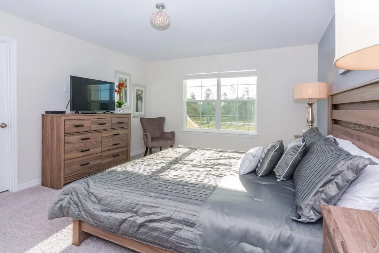 1534 CAREY PALM 4
