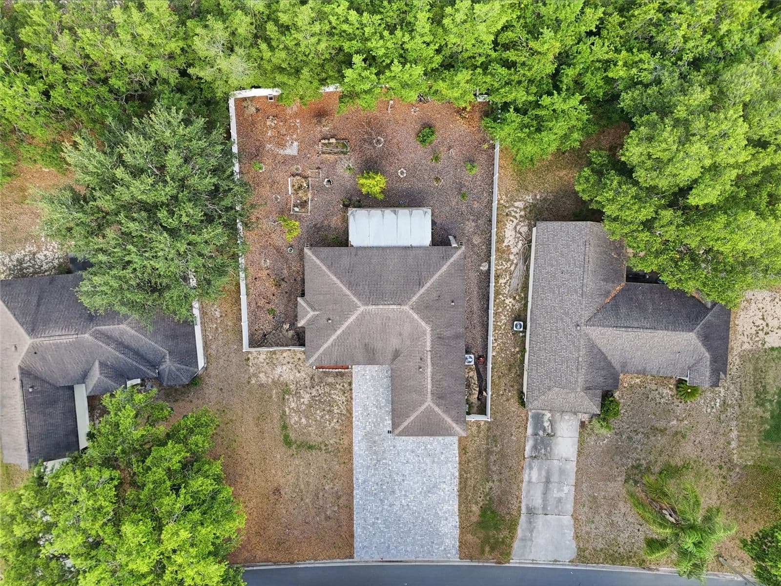 313 FOGGY CREEK 3