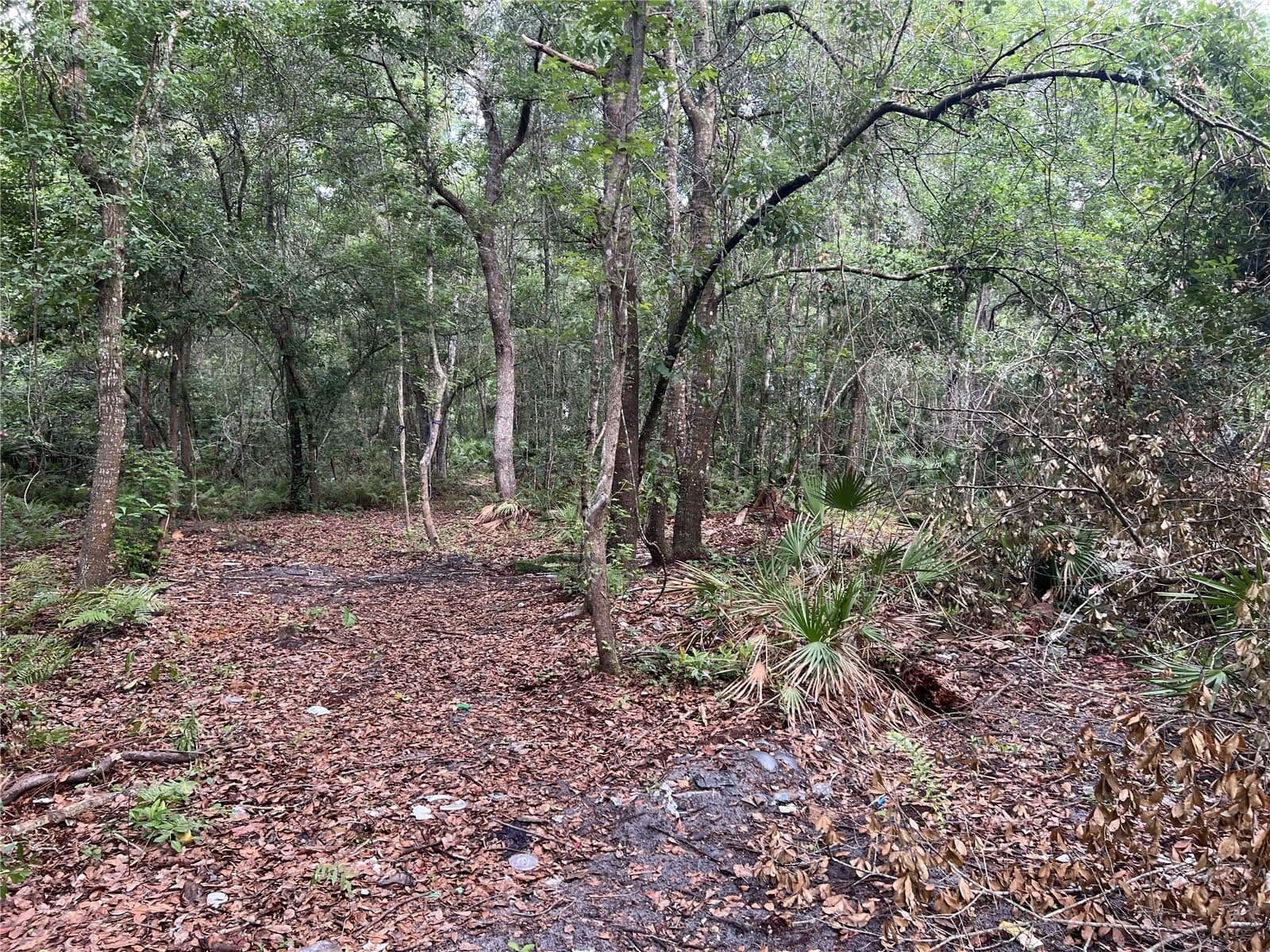 2322-2328 ROUSE, Orlando, FL 32817 3