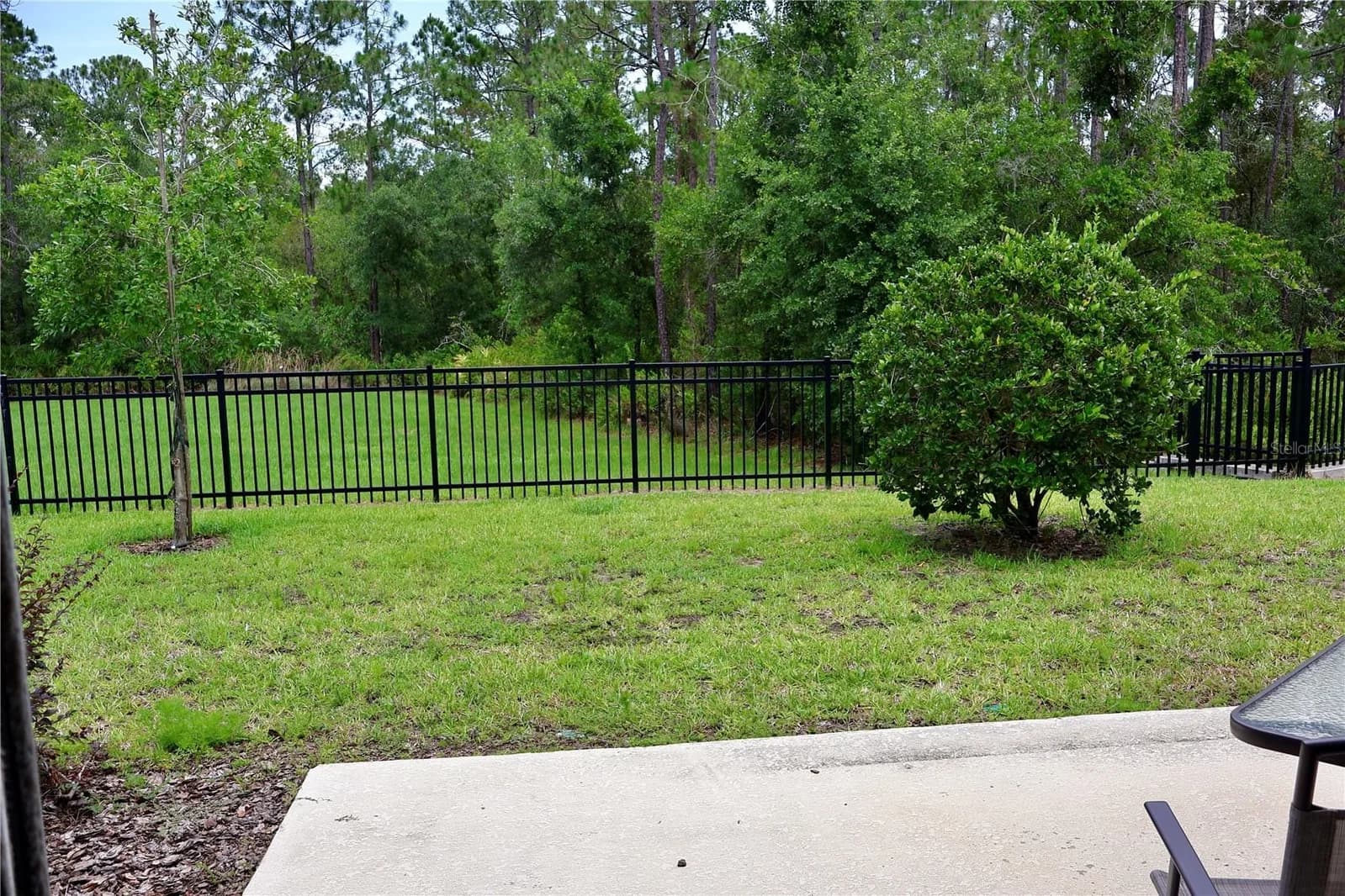 3635 DAVENPORT CREEK 5